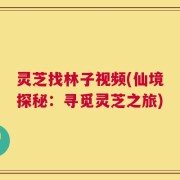 灵芝找林子视频(仙境探秘：寻觅灵芝之旅)