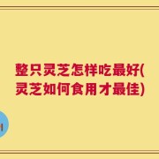 整只灵芝怎样吃最好(灵芝如何食用才最佳)