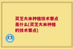 灵芝大米种植技术要点是什么(灵芝大米种植的技术要点)