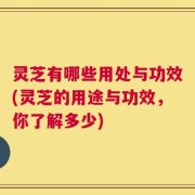 灵芝有哪些用处与功效(灵芝的用途与功效，你了解多少)