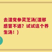 去湿党参灵芝汤(湿邪感冒不退？试试这个养生汤！)