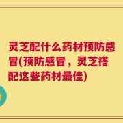灵芝配什么药材预防感冒(预防感冒，灵芝搭配这些药材最佳)