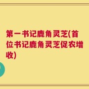 第一书记鹿角灵芝(首位书记鹿角灵芝促农增收)