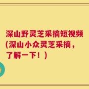 深山野灵芝采摘短视频(深山小众灵芝采摘，了解一下！)