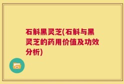 石斛黑灵芝(石斛与黑灵芝的药用价值及功效分析)