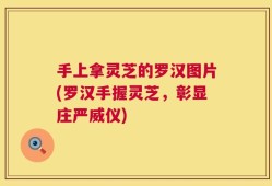 手上拿灵芝的罗汉图片(罗汉手握灵芝，彰显庄严威仪)