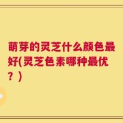 萌芽的灵芝什么颜色最好(灵芝色素哪种最优？)