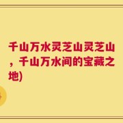 千山万水灵芝山灵芝山，千山万水间的宝藏之地)