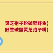 灵芝孢子粉破壁野生(野生破壁灵芝孢子粉)