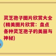 灵芝孢子图片欣赏大全(精美图片欣赏：盘点各种灵芝孢子的美丽与神秘)