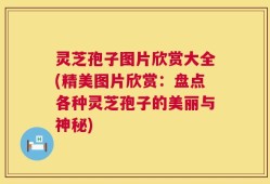 灵芝孢子图片欣赏大全(精美图片欣赏：盘点各种灵芝孢子的美丽与神秘)