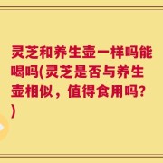 灵芝和养生壶一样吗能喝吗(灵芝是否与养生壶相似，值得食用吗？)