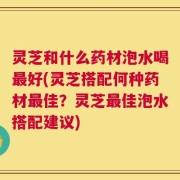 灵芝和什么药材泡水喝最好(灵芝搭配何种药材最佳？灵芝最佳泡水搭配建议)