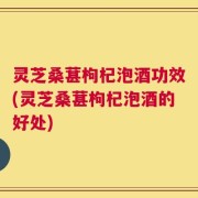 灵芝桑葚枸杞泡酒功效(灵芝桑葚枸杞泡酒的好处)