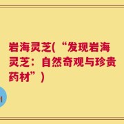 岩海灵芝(“发现岩海灵芝：自然奇观与珍贵药材”)