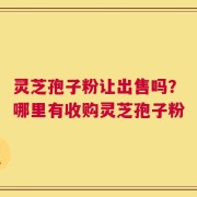 灵芝孢子粉让出售吗？哪里有收购灵芝孢子粉