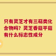 只有灵芝才有三萜类化合物吗？灵芝香菇平菇有什么标志性成分