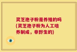 灵芝孢子粉是养殖的吗(灵芝孢子粉为人工培养制成，非野生的)