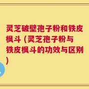 灵芝破壁孢子粉和铁皮枫斗 (灵芝孢子粉与铁皮枫斗的功效与区别)