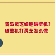 青岛灵芝细胞破壁机？破壁机打灵芝怎么做