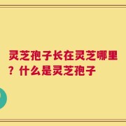 灵芝孢子长在灵芝哪里？什么是灵芝孢子