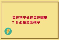 灵芝孢子长在灵芝哪里？什么是灵芝孢子