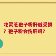吃灵芝孢子粉肝脏受损？孢子粉会伤肝吗？
