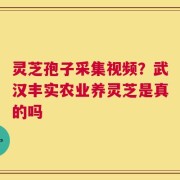灵芝孢子采集视频？武汉丰实农业养灵芝是真的吗