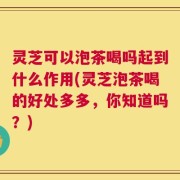 灵芝可以泡茶喝吗起到什么作用(灵芝泡茶喝的好处多多，你知道吗？)