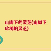 山脚下的灵芝(山脚下珍稀的灵芝)