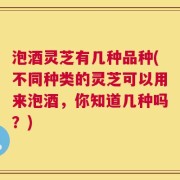 泡酒灵芝有几种品种(不同种类的灵芝可以用来泡酒，你知道几种吗？)