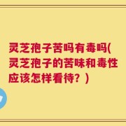 灵芝孢子苦吗有毒吗(灵芝孢子的苦味和毒性应该怎样看待？)