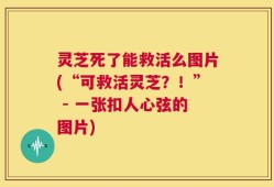 灵芝死了能救活么图片(“可救活灵芝？！” - 一张扣人心弦的图片)