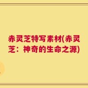 赤灵芝特写素材(赤灵芝：神奇的生命之源)