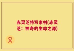 赤灵芝特写素材(赤灵芝：神奇的生命之源)