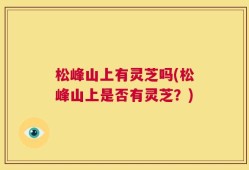 松峰山上有灵芝吗(松峰山上是否有灵芝？)