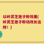 以岭灵芝孢子粉效果(岭灵芝孢子粉功效长这样！)