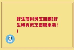 野生薄树灵芝面膜(野生稀有灵芝面膜来袭！)