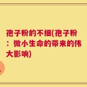 孢子粉的不细(孢子粉：微小生命的带来的伟大影响)