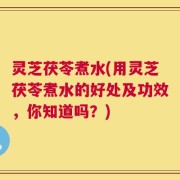 灵芝茯苓煮水(用灵芝茯苓煮水的好处及功效，你知道吗？)
