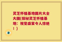 灵芝怀植基地图片大全大图(探秘灵芝怀植基地：视觉盛宴令人惊艳！)
