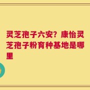 灵芝孢子六安？康怡灵芝孢子粉育种基地是哪里