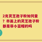 2克灵芝孢子粉如何量？市面上的灵芝孢子粉都是带小蓝帽的吗