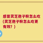 感冒灵芝孢子粉怎么吃(灵芝孢子粉怎么吃更有效？)
