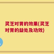 灵芝对胃的效果(灵芝对胃的益处及功效)