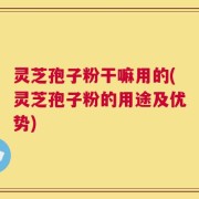 灵芝孢子粉干嘛用的(灵芝孢子粉的用途及优势)