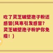 吃了灵芝破壁孢子粉还感冒(风寒引发感冒？灵芝破壁孢子粉护你免疫！)