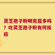 灵芝孢子粉喝完尿多吗？吃灵芝孢子粉有何反应