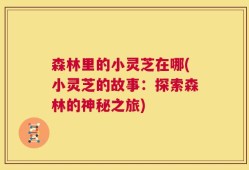 森林里的小灵芝在哪(小灵芝的故事：探索森林的神秘之旅)