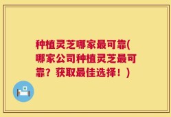 种植灵芝哪家最可靠(哪家公司种植灵芝最可靠？获取最佳选择！)